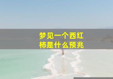 梦见一个西红柿是什么预兆