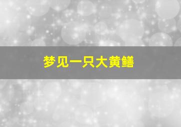 梦见一只大黄鳝