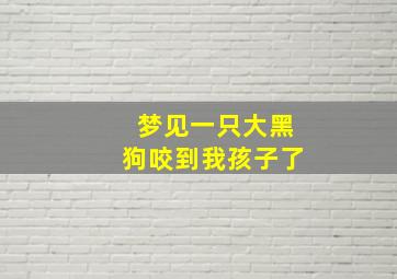 梦见一只大黑狗咬到我孩子了