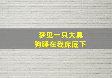 梦见一只大黑狗睡在我床底下