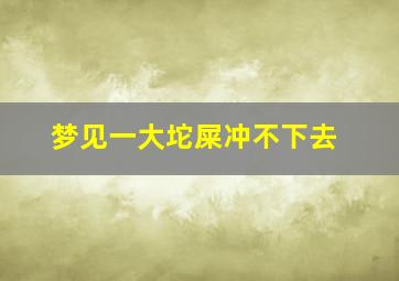 梦见一大坨屎冲不下去