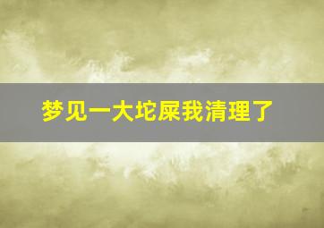 梦见一大坨屎我清理了