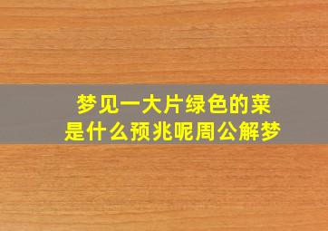 梦见一大片绿色的菜是什么预兆呢周公解梦