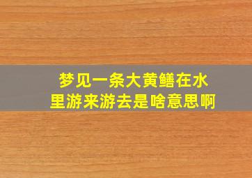 梦见一条大黄鳝在水里游来游去是啥意思啊