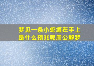 梦见一条小蛇缠在手上是什么预兆呢周公解梦