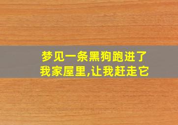 梦见一条黑狗跑进了我家屋里,让我赶走它