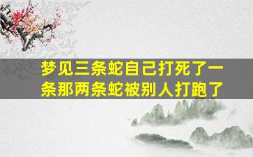 梦见三条蛇自己打死了一条那两条蛇被别人打跑了