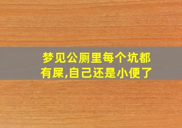 梦见公厕里每个坑都有屎,自己还是小便了