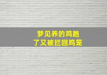 梦见养的鸡跑了又被拦回鸡笼