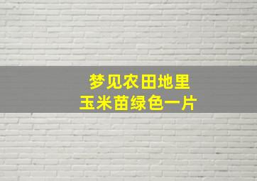 梦见农田地里玉米苗绿色一片