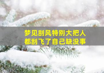 梦见刮风特别大把人都刮飞了自己缺没事