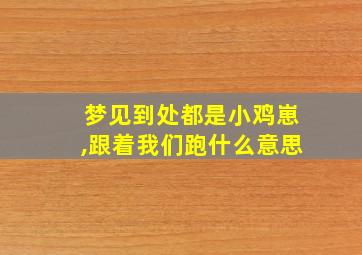 梦见到处都是小鸡崽,跟着我们跑什么意思