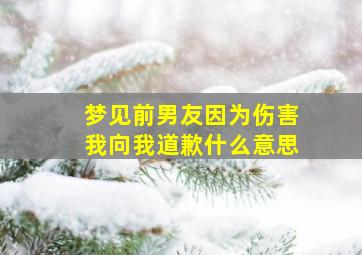 梦见前男友因为伤害我向我道歉什么意思