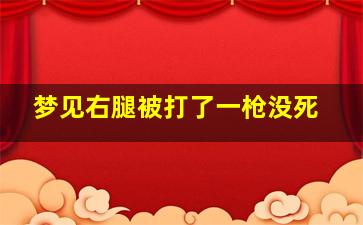 梦见右腿被打了一枪没死