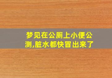 梦见在公厕上小便公测,脏水都快冒出来了