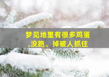 梦见地里有很多鸡蛋,没跑、掉被人抓住