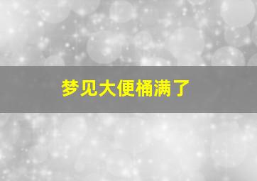 梦见大便桶满了