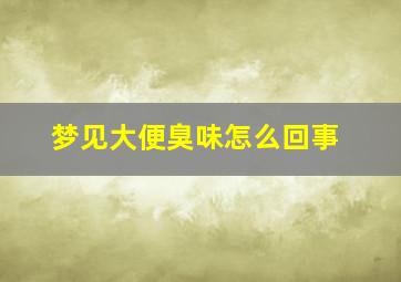 梦见大便臭味怎么回事