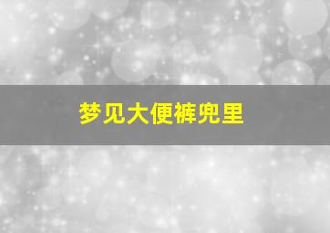 梦见大便裤兜里