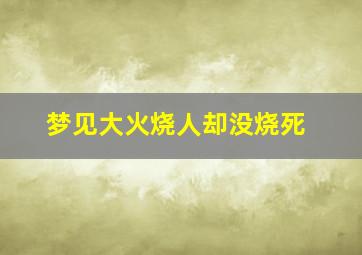 梦见大火烧人却没烧死