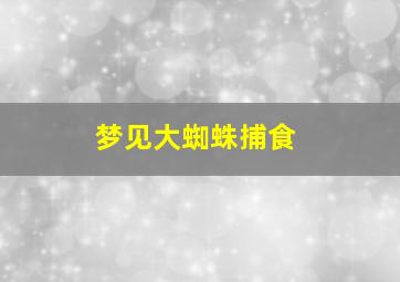 梦见大蜘蛛捕食