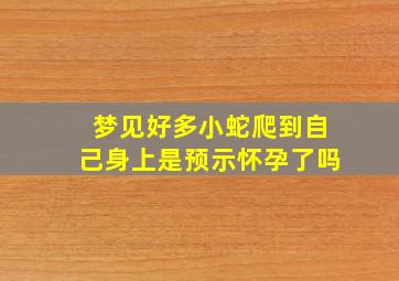 梦见好多小蛇爬到自己身上是预示怀孕了吗