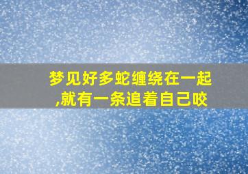 梦见好多蛇缠绕在一起,就有一条追着自己咬