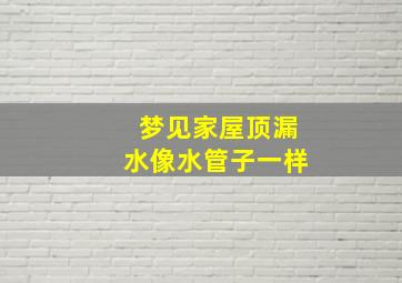 梦见家屋顶漏水像水管子一样