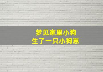 梦见家里小狗生了一只小狗崽