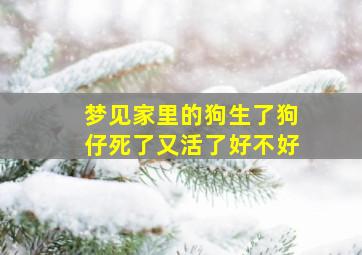 梦见家里的狗生了狗仔死了又活了好不好