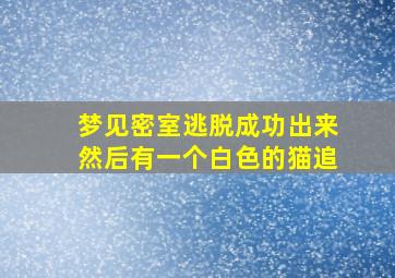 梦见密室逃脱成功出来然后有一个白色的猫追