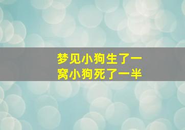 梦见小狗生了一窝小狗死了一半