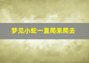 梦见小蛇一直爬来爬去