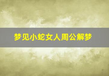 梦见小蛇女人周公解梦