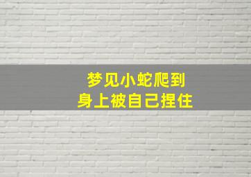 梦见小蛇爬到身上被自己捏住