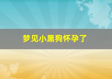 梦见小黑狗怀孕了