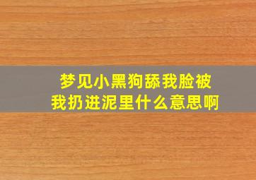 梦见小黑狗舔我脸被我扔进泥里什么意思啊