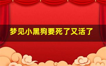 梦见小黑狗要死了又活了