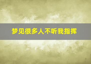 梦见很多人不听我指挥