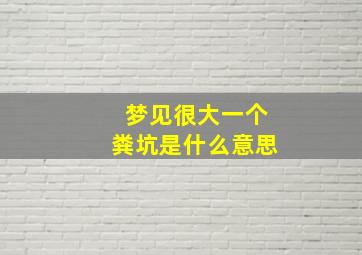 梦见很大一个粪坑是什么意思