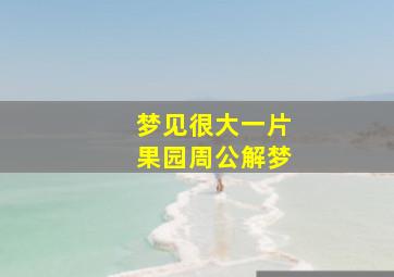 梦见很大一片果园周公解梦