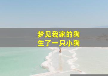 梦见我家的狗生了一只小狗