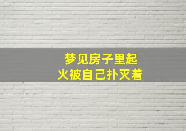 梦见房子里起火被自己扑灭着