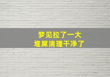 梦见拉了一大堆屎清理干净了