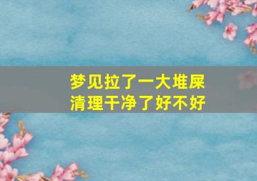 梦见拉了一大堆屎清理干净了好不好