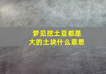 梦见挖土豆都是大的土块什么意思