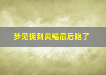 梦见捉到黄鳝最后跑了