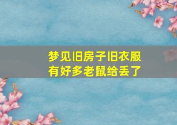 梦见旧房子旧衣服有好多老鼠给丢了