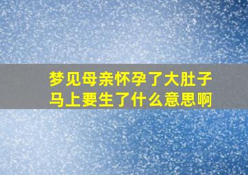 梦见母亲怀孕了大肚子马上要生了什么意思啊