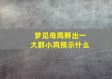 梦见母鸡孵出一大群小鸡预示什么